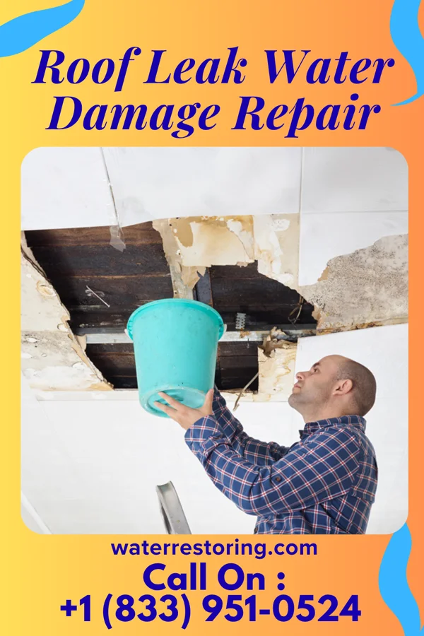 Roof Leak Water Damage Repair in Humboldt Hill, CA